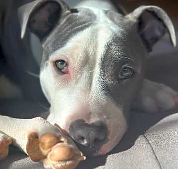 Photo of Odette