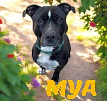 Photo of Mya