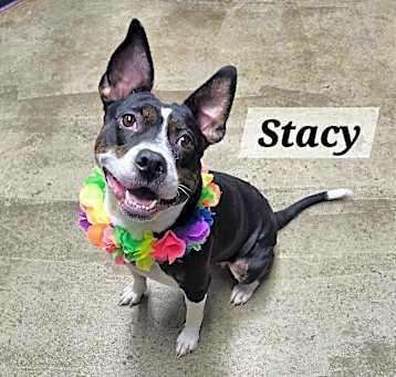 Photo of Stacy
