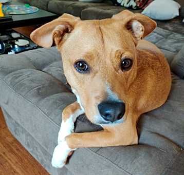 Photo of Jax