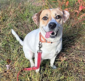 Photo of Maizy