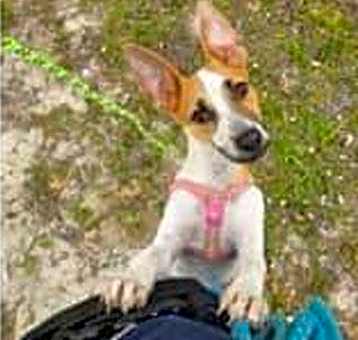 Photo of MARYANNE