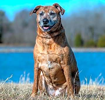 Photo of Athena