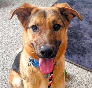 Photo of Klaus