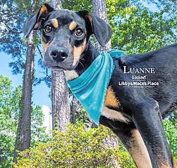 Photo of Luanne