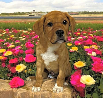 Photo of Asher