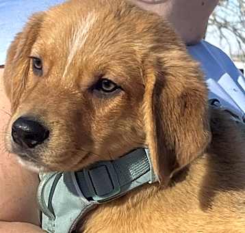 Photo of Duke