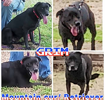 Photo of Grim