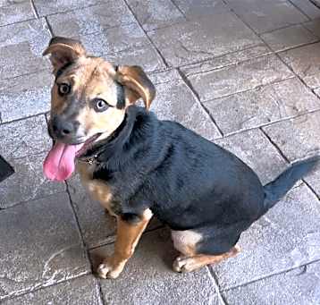 Photo of Sierra