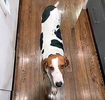 Photo of Louella
