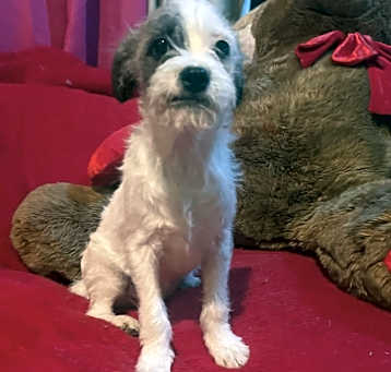Photo of Sonny