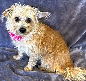 Photo of Mia