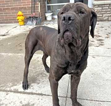 Photo of Keisha
