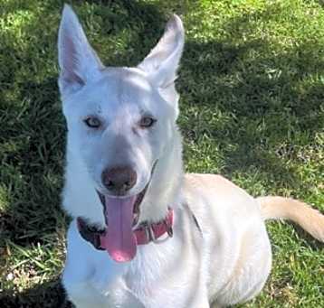 Photo of KONA