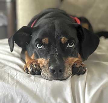 Photo of Lanie