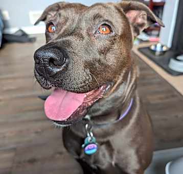 Photo of Coco