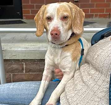 Photo of Gumbo