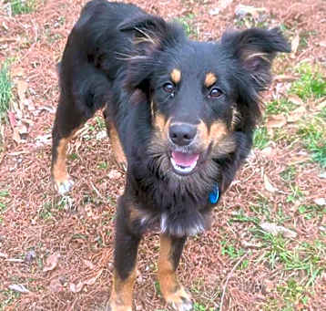 Photo of Rizzo