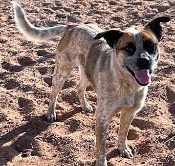 Photo of Bingo
