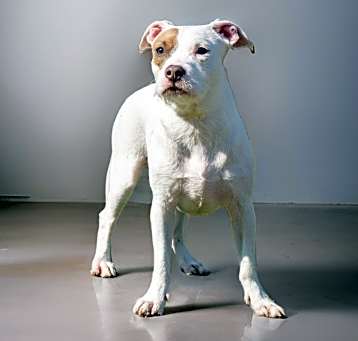 Photo of Reggie
