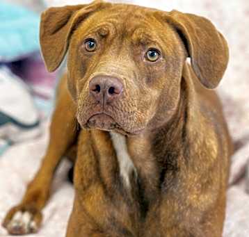 Photo of Daisy Mae