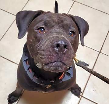 Photo of Polly