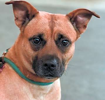 Photo of Freida