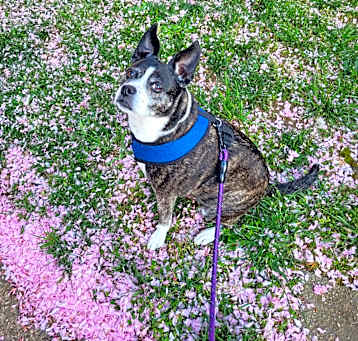 Photo of Luna