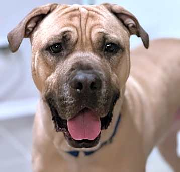Photo of Duke