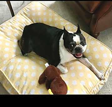 Photo of Rudy