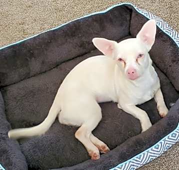 Photo of Marie aka Betty