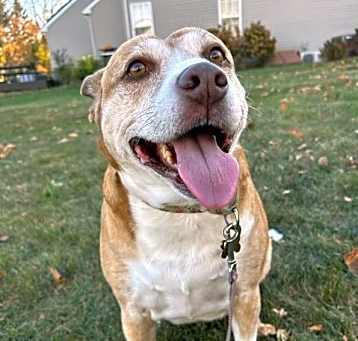Photo of Maggie