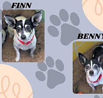 Photo of Benny