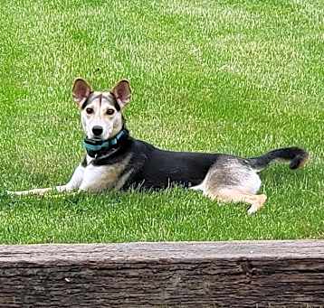 Photo of Bella
