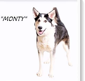 Photo of Morty 