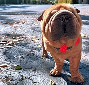 Photo of EVAN