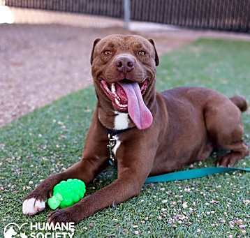 Photo of ALAMO