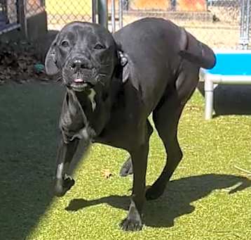 Photo of Ganache
