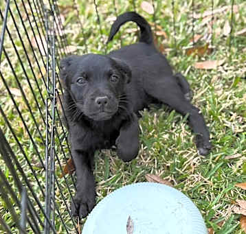 Photo of Tallie
