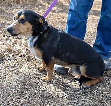 Photo of Champ