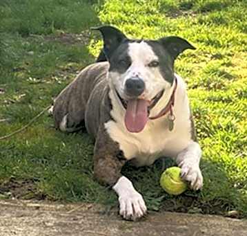 Photo of NALA