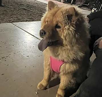 Photo of Osita