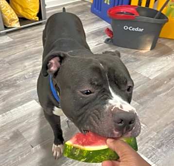 Photo of Meatball