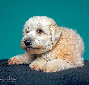 Photo of Prada