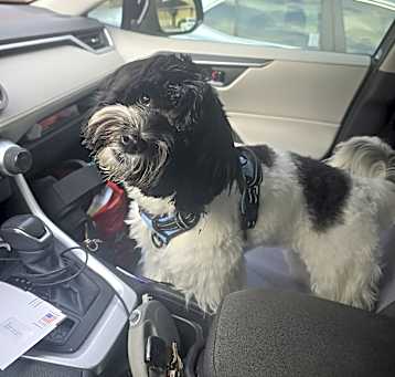 Photo of Max