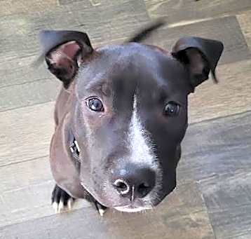 Photo of Nigel