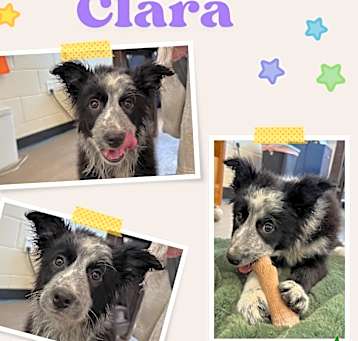 Photo of Clara