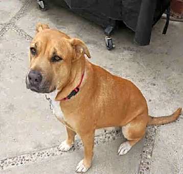 Photo of MIA