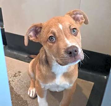 Photo of Winston