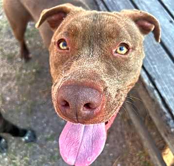 Photo of Moby